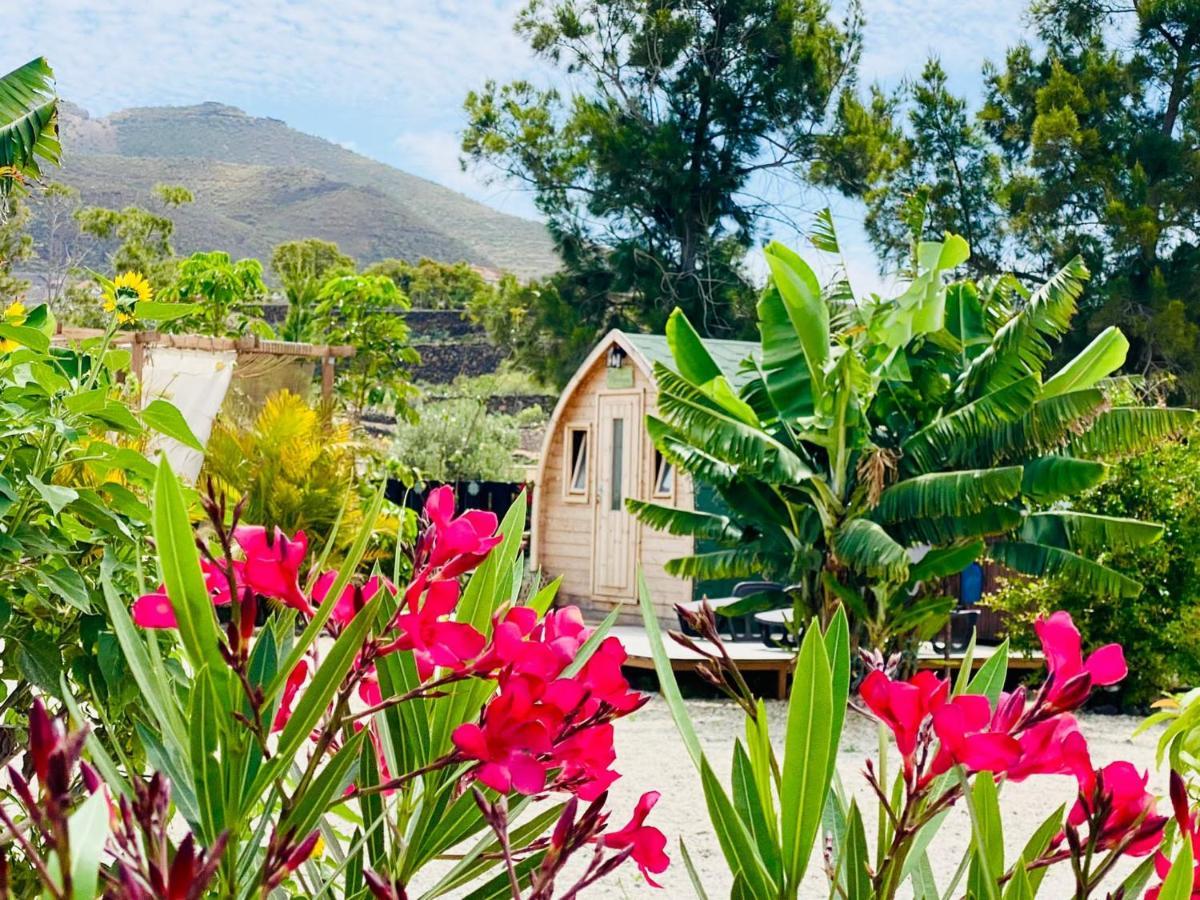 Holiday home Lykke Sauna Piscina Y Jardin